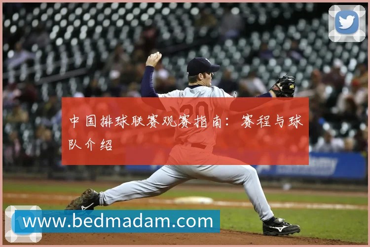 中国排球联赛观赛指南:赛程与球队介绍