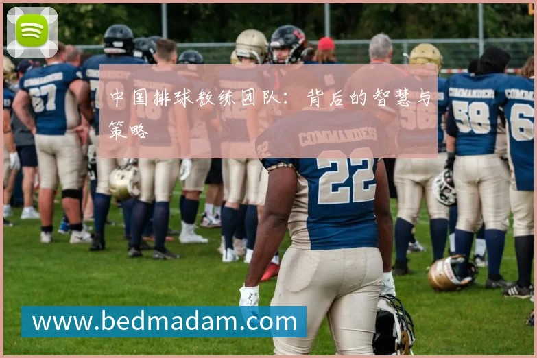中国排球教练团队:背后的智慧与策略