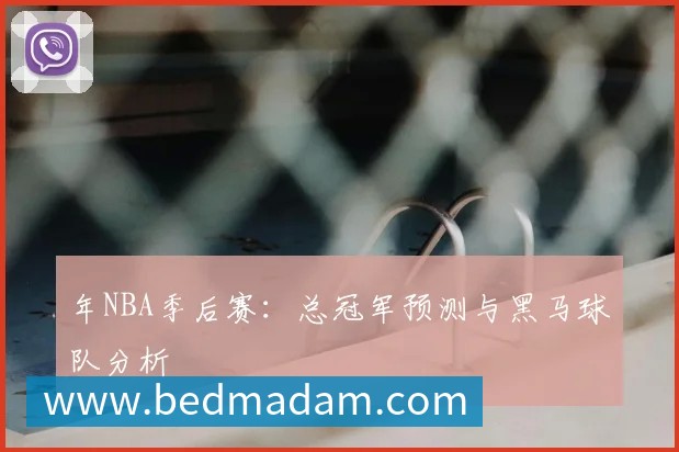 年NBA季后赛：总冠军预测与黑马球队分析