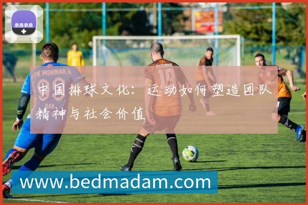 中国排球文化：运动如何塑造团队精神与社会价值